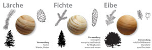Holzarten kennenlernen